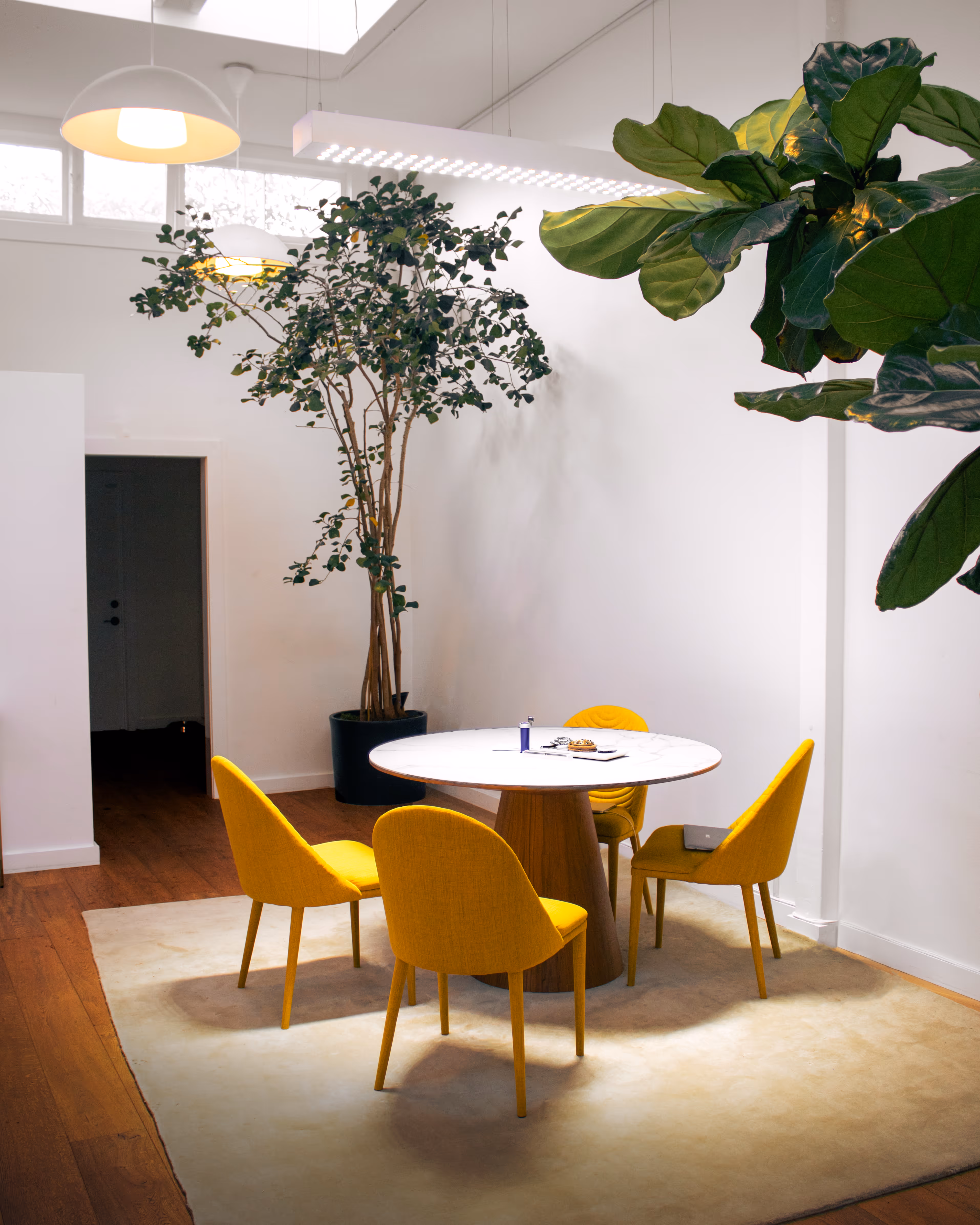 San Francisco showroom